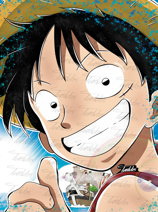 Monkey D Luffy